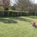 Garden Scarification Sutton Coldfield
