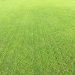 Garden Aeration Sutton Coldfield
