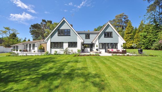 Local Lawn Care Services